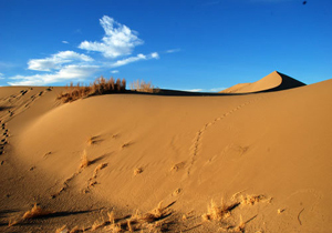شهرستان خوسف دارای 3 کانون بحران فرسایش بادی