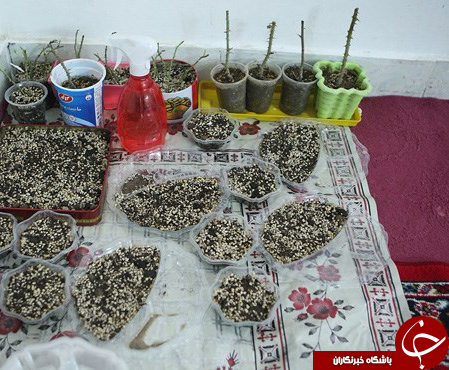 این زن سرطان را دور زد+تصاویر