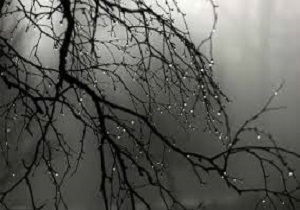 وضعیت جوی استان قم ۹۶/۱۰/۱7