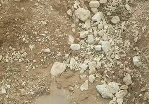 بحران آب در قطب انجیر سیاه ایران؛ اما و اگر&zwnj;های حیات دوباره باغات پلدختر