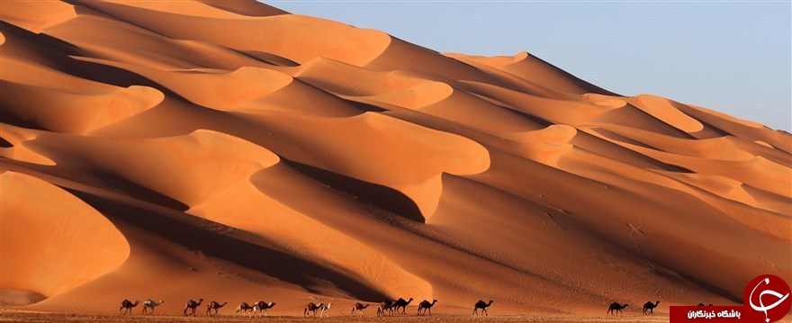 تصاویر هفته: