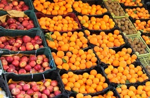 صرفه جویی در هزینه جابجایی با خرید میوه از باغداران استانی