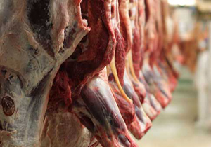 80 مرکز غیرمجار عرضه گوشت در ایوان سازماندهی می شود.