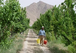 کمبود آب در ابرکوه جدی است