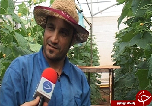 کاهش مصرف آب با گسترش گلخانه&zwnj;ها /وجود ۸۲ هکتار طرح گلخانه در لرستان + تصاویر
