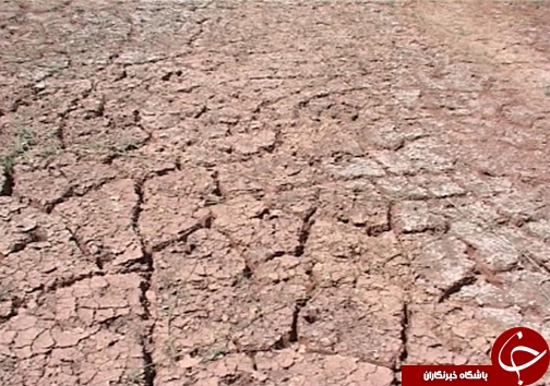 کاهش مصرف آب با گسترش گلخانه&zwnj;ها /وجود ۸۲ هکتار طرح گلخانه در لرستان + تصاویر