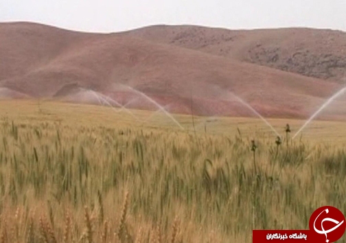 کاهش مصرف آب با گسترش گلخانه&zwnj;ها /وجود ۸۲ هکتار طرح گلخانه در لرستان + تصاویر