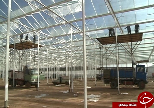 کاهش مصرف آب با گسترش گلخانه&zwnj;ها /وجود ۸۲ هکتار طرح گلخانه در لرستان + تصاویر