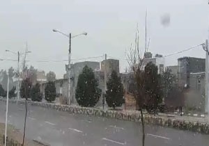 «ششتمد» سفیدپوش شد + فیلم