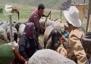 عشایر مهاباد تا بیستم دی ماه برای ثبت نام اخذ یارانه مهلت دارند
