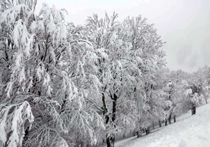 میزان بارش ۲۴ ساعت گذشته در چهارمحال و بختیاری