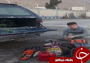 دستگیری متخلفان قطع درختان در منطقه حفاظت شده بیستون