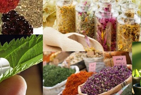 هر نوع آموزش طب ایرانی خارج از سیستم دانشگاهی غیر قانونی است