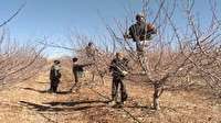 مدیریت اصولی کشاورزی در زمستان