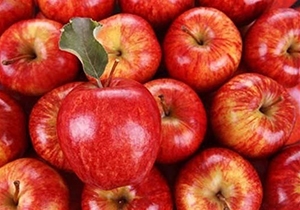 آغاز صادرات سیب استان فارس به قطر