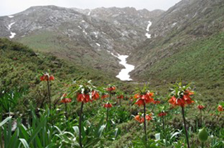 احیای بخش گردشگری و بوم‌گردی روستاهای شهرستان خوانسار