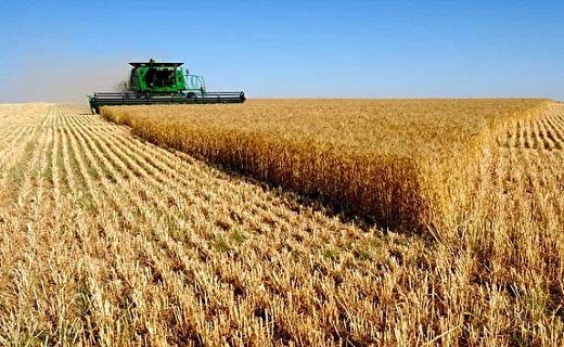 شهیدی که بعد از ۳۵ سال به آغوش خانواده بازمی&zwnj;گردد / آتش در انبار علوفه روستای حسن آباد دامغان اطفا شد