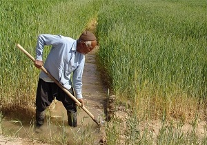 کشت مکانیزه گندم در اراضی کشاورزی بیله‌سوار افزایش می‌یابد