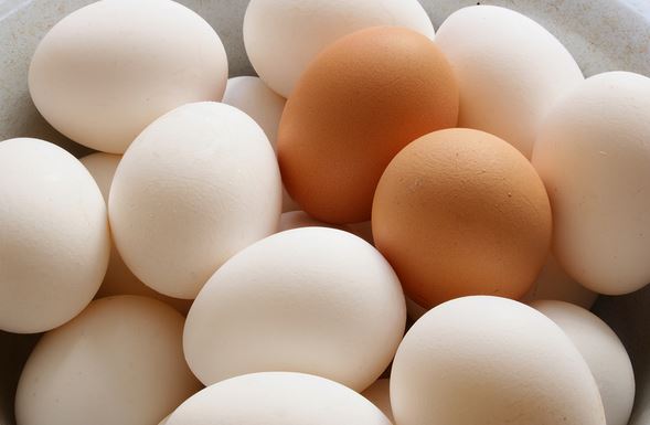 قیمت گوشت، نان و تخم مرغ بیش ترین شاکیان را دارند