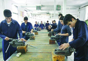 مهارت کارآموزی بیش از ۸۰۰ نفر در استان بوشهر