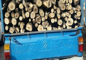 کشف ۲محموله قاچاق چوب درختان بلوط در خرم‌آباد