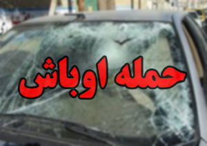 حمله اوباش به مردم در ورودی گرگان