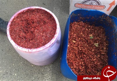 فاجعه&zwnj;ای که پشت بسته&zwnj;بندی شیک تنباکو&zwnj;ها در جنوب تهران نهفته بود+ عکس