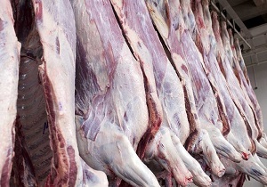 توزیع گوشت گرم وارداتی در استان قم