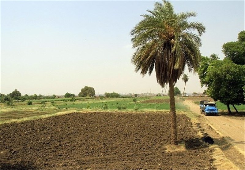 طرح احیا و تعادل بخشی منابع آب زیرزمینی در استان بوشهر اجرایی شد