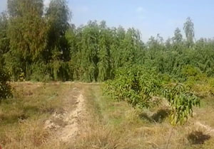 طبیعت زیبای روستای "تکش" در قاب دوربین + فیلم