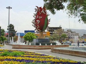 شهرداری اراک باید کار&zwnj;های در توان بخش خصوصی را واگذار کند