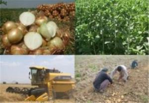 تشکیل ۲۷ تعاونی جدید در زنجان