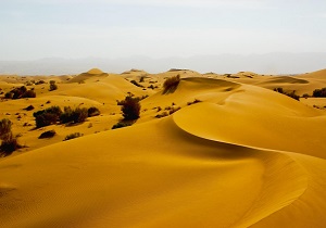 نجات 4 گردشگر گرفتار در رمل های کویر فردوس