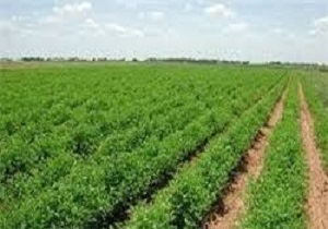 حمایت از بخش کشاورزی در شهرستان گرمی