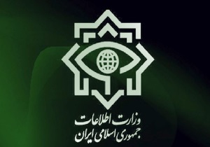 از برخورد وزارت اطلاعات با عناصر آشوب تا نیاز دولت به انتقاد مردم