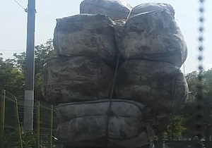 ب