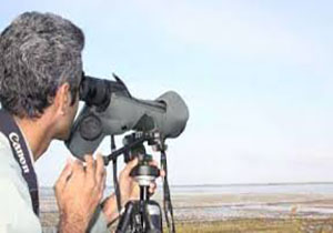آغاز سرشماری پرندگان در آذربایجان غربی