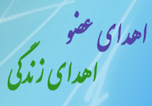 اهدای عضو، اهدای زندگی