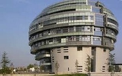 تاثیر مستقیم آلودگی هوا بر روی اعصاب و روان/ نادیده گرفتن جوان&zwnj;ها در حوزه تحقیقاتی