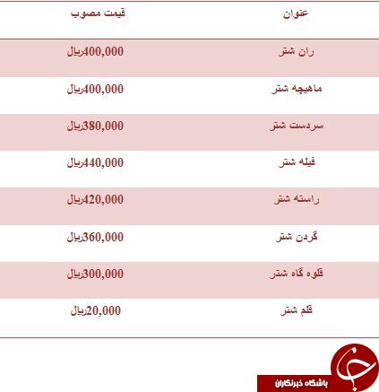 نرخ مصوب گوشت شتر در میادین میوه و تره بار
