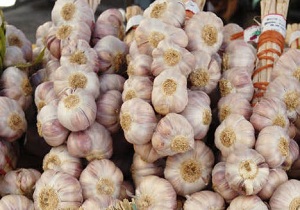 کشف سیر قاچاق در پارسیان