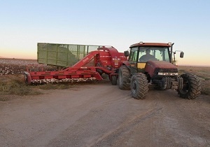 خرید تضمینی 240 تن پنبه در خراسان جنوبی