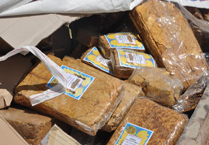 کشف ۳ هزار قوطی تنباکوی قاچاق در بهار
