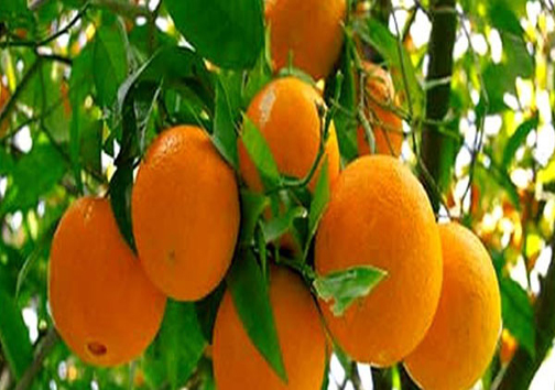 نگاهی گذرا به مهمترین رویداد&zwnj;های یکشنبه ۲۴ دی ماه در مازندران