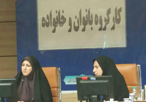 اجرای طرح الگوی نوین توسعه و ساماندهی مشاغل خانگی