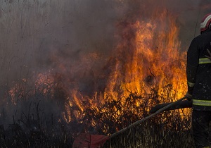 مهار آتش سوزی تالاب گندمان