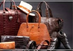 جذب سرمایه‌گذار چینی برای راه اندازی واحد تولیدی کیف و کفش در اردبیل