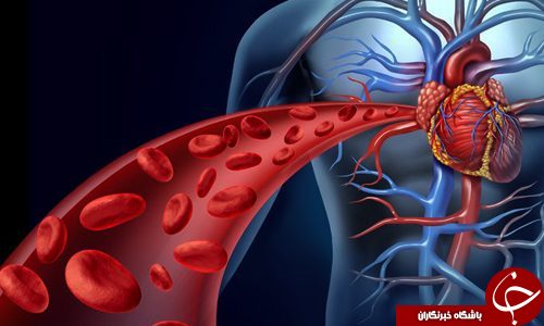 9 فایده&zwnj;ی زیتون برای سلامتی
