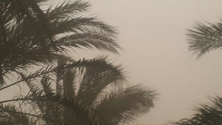 مشکلات تنفسی ریزگردها برای 12شهروند ریگانی