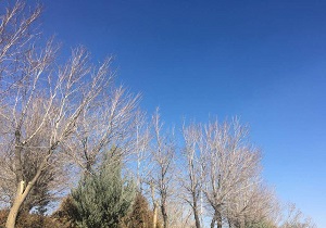 پیش بینی آسمان صاف تا کمی ابری و گاهی وزش باد